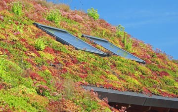 Oxcombe living roof systems
